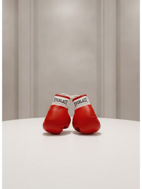 Everlast Miniature Red Boxing Gloves Keychain or Car Charm 2pc set NEW